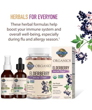 Shop Garden of Life Organics Plant-Based Elderberry Immune Syrup 6.59 fl oz - Organic Vegan Supplement with Sambucus Echinacea Zinc & Vitamin C for Kids & Adults - 0g Sugar Gluten-Free - Buy Online on GoSupps.com