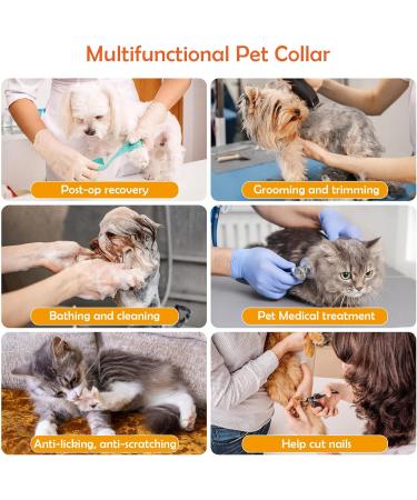 AllSopets Lightweight Cat Protective Collar - Soft Recovery Cone for Cats & Puppies After Surgery - Green - Buy Online on GoSupps.com