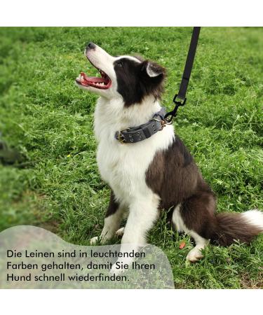 5m Tag Trag Leash for Dogs - Waterproof Drag Line with Handle & D-ring | Easy to Clean Dog Training Line for Small & Medium Dogs - Black - Buy Online on GoSupps.com