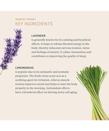 Bodhi Body Oil & Bathing Oil - Lavender Lemongrass | Vegan Natural Therapy for Dry Skin | 250ml Shower & Massage Oil - Buy Online on GoSupps.com