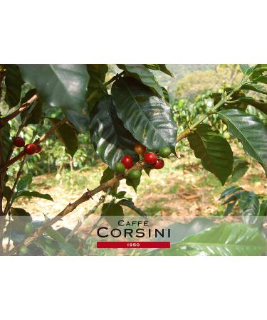 Caff Corsini - Compagnia dell'Arabica Jamaica Blue Mountain specialty coffee. Ground single-origin coffee from Jamaica for Es - Buy Online on GoSupps.com