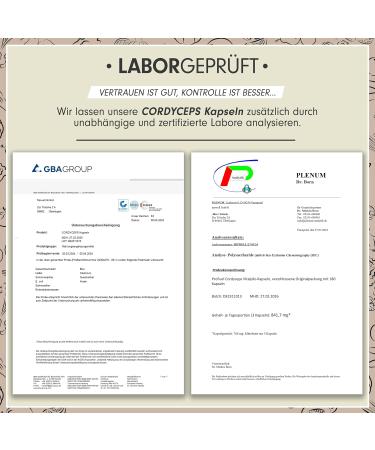 Premium Cordyceps Capsules 180x - 2100mg Vital Fungus Extract | High-Quality Cordyceps Sinensis with 40% Bioactive Polysaccharides - Boost Energy & Immune Support - Buy Online on GoSupps.com