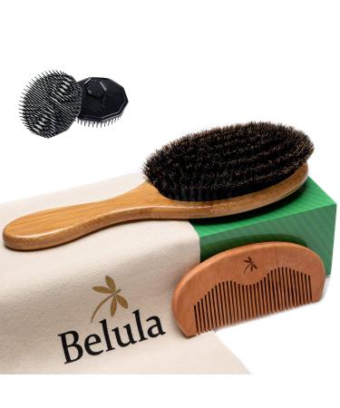 Belula 100% Boar Bristle Hair Brush for Men Set. Soft Hairbrush for Thin  Normal and Short Hair. Boar Bristle Brush and Wooden Comb for Men. Free 2 x Palm Brush & Travel Bag Included.