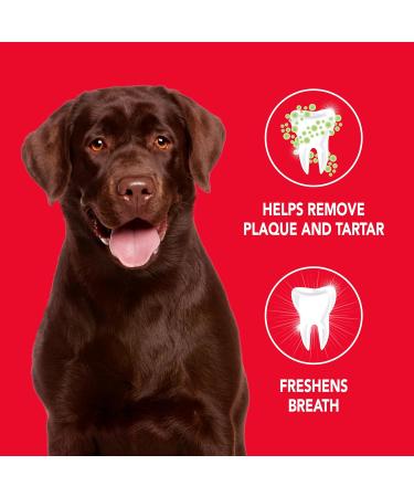 Sergeant's Petrodex Enzymatic Toothpaste for Dogs - Poultry Flavor 2.5-Ounce Pack of 1 - Buy Online on GoSupps.com