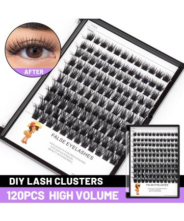Buy Bodermincer 120pcs D Curl Mixed Eyelashes - Professional Individual Cluster for Home Extensions (8-10-12-14-16mm - Buy Online on GoSupps.com