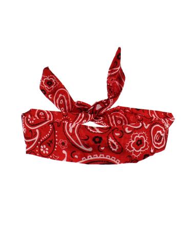 Zac's Alter Ego - Wire Headband with Paisley Pattern - Vintage Look Red