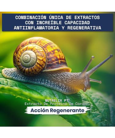 Helix Original - Natural Supplement for Joint Pain | With Snail Extract Turmeric And Boswellia | Lactose Free Gluten Free | 2 units (60 capsules) - Buy Online on GoSupps.com