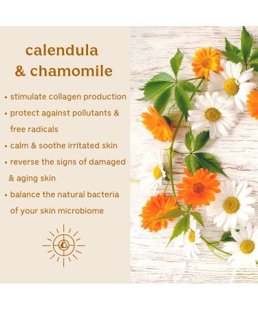 Solluna by Kimberly Snyder Feel Good Eye Cream | Anti-Aging & Under Eye Treatment with Ashwagandha, Hyaluronic Acid & Eyebright | Natural, Cruelty-Free & Non-GMO - Buy Online on GoSupps.com