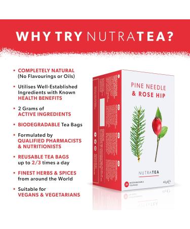 Nutra Tea - Pine Needle & Rosehip Tea | Pine Needle Tea | Pine Tea - 20 Tea Bags - Herbal Tea 20 Count (Pack of 1) - Buy Online on GoSupps.com
