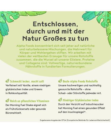 Morning Fuel Vanilla Matcha Shake - Nutrient-Rich Protein Powder with Sprouted Seeds Quinoa & Almonds for Healthy Breakfast | 600g - Buy Online on GoSupps.com