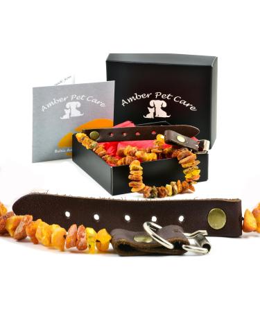 Premium Baltic Amber Dog & Cat Collar | Leather Clasp | Flea & Tick Protection | Elegant Vermin Strap 35-40 cm - Buy Online on GoSupps.com