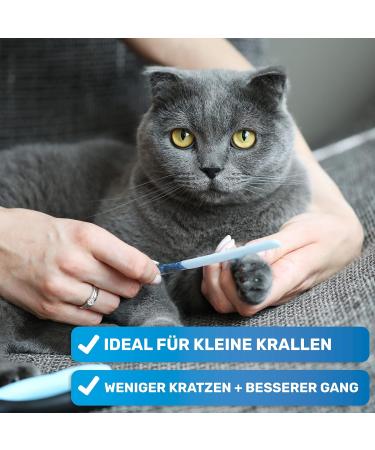 Bluepet Krallensch n Professional Claw Scissors for Small Dogs & Cats - Ergonomic Angled Head with Nail File | Ideal for Small to Medium Claws - Buy Online on GoSupps.com