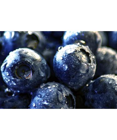 Darbo Naturrein Decorative Glass - Blueberry Jam - 6 x 640g - Buy Online on GoSupps.com