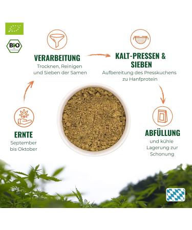 Organic Hemp Protein Powder 1000g | 55% Protein | Vegan Superfood from Germany | Additive-Free Hemp Powder with Essential Amino Acids | Hans Brainfood - Buy Online on GoSupps.com