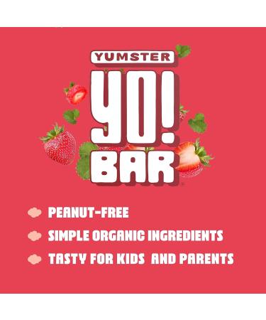 Yo! Bar by Bearded Brothers | Vegan Organic Gluten-Free Kids Snack | Paleo Whole 30 Soy Free Non-GMO Low Glycemic No Sugar Added | Strawberry Flavor | 25 Bars - Buy Online on GoSupps.com