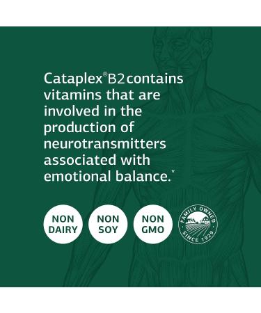 Standard Process Cataplex B2 - Whole Food Nervous System & Brain Support - 360 Tablets - Buy Online on GoSupps.com