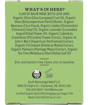 Earth Mama Baby Organic Diaper Balm 2 fl oz (60 ml) - Buy Online on GoSupps.com