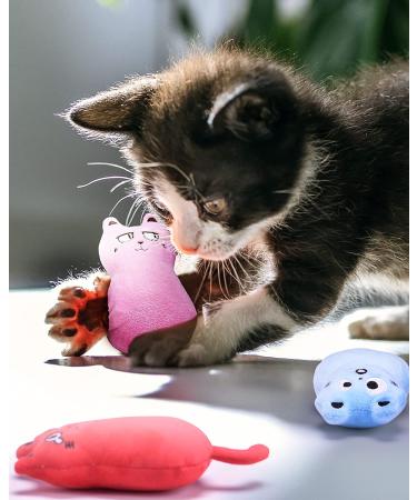 Feeko Cat Catnip Pillow Toys Set Interactive Rattle Sound Cat Toys for Indoor Cats (5 Pack) - Buy Online on GoSupps.com
