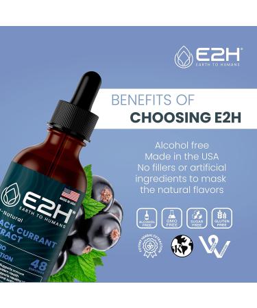 E2H Natural Black Currant Extract Cold Pressed Black Currant Seed - Immune System Health - Fast Absorbing Liquid (2 Bottles) 2 Fl Oz (Pack of 2) - Buy Online on GoSupps.com