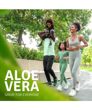 Aloe Life - Daily Greens Powder QAI-Certified Organic Health Supplement Antioxidants 21 Fruits Veggies & Herbs Including Aloe & Nopal Cactus Low-Calorie Keto-Friendly Gluten-Free (30 Servings) - Buy Online on GoSupps.com