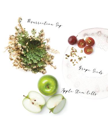 ECRU NEW YORK Restorative Conditioner | HAIR & NOW Holiday Gift Set - Shop Internationally - Buy Online on GoSupps.com