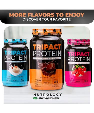 Nutrology TRIPACT Protein Powder - 7-in-1 Meal Replacement Shake with Grass Fed Whey Protein Powder Pea Rice & Greens - Boost Muscle Recovery & Immunity Creamy Chocolate Flavor 40 Servings Creamy Chocolate 3 Pound (Pac  - Buy Online on GoSupps.com