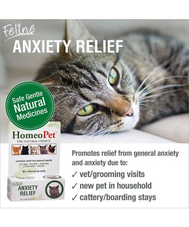 HomeoPet Feline Anxiety Relief - Stress & Anxiety Support for Cats - 15ml - Buy Online on GoSupps.com