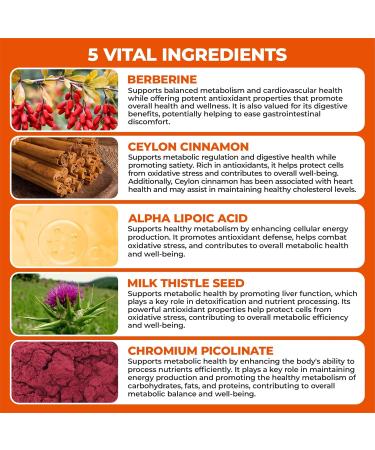 HerbaMe Berberine Supplement with Ceylon Cinnamon Chromium Alpha Lipoic Acid Metabolic Care Supports Metabolism & Cardiovascular Health and Immune System Helps Maintain Steady Energy Levels - Buy Online on GoSupps.com