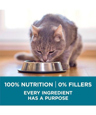 Purina ONE Dry Cat Food Salmon & Rice Formula - 3 kg Bag 3 kg (Pack of 1) - Buy Online on GoSupps.com