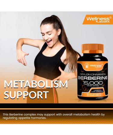 WELLNESS LABSRX Berberine 15 000mg - Third-Party Tested Berberine Supplement HCL with Ceylon Cinnamon Black Pepper Extract and Apple Cider Vinegar Heart Support Capsules - 120 Capsules - Pack of 1 120 Count (Pack of 1) - Buy Online on GoSupps.com