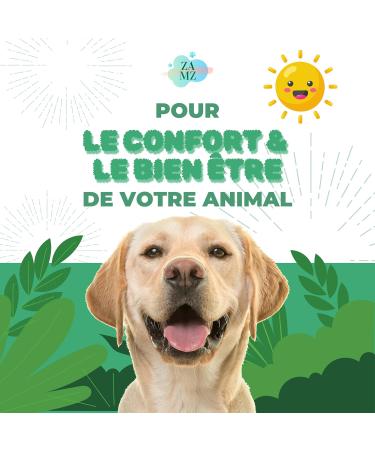 Boost Medium Oil 10ml | Joint comfort Senior | Hemp for Dogs and Cats | 100% French product - Buy Online on GoSupps.com