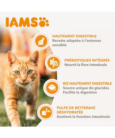 IAMS Dry Cat Food with Sensitive Turkey - for Cats with Sensitive Stomach from 1 year - 3 kg - Buy Online on GoSupps.com