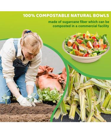 Disposable Paper Bowls 32oz Heavy Duty 100 Pack Eco-Friendly Compostable Bowls Party Serving Bowls for Salad Ice Cream Dessert and Hot Soup Biodegradable Bowls Made of Sugarcane - Buy Online on GoSupps.com