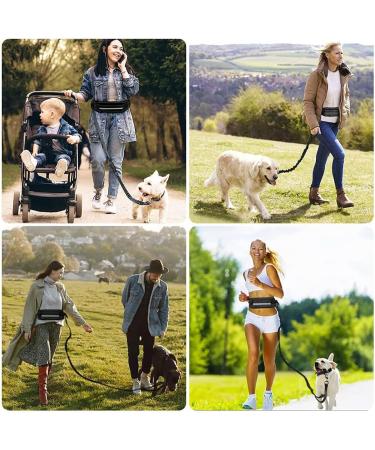 DKDDSSS Hands Free Dog Lead Dog Walking Belt Adjustable Waist Belt with Pouch Shock Absorbing Dual Handle Bungee Reflective Stitching for Running Jogging for Small to Medium Dogs - Buy Online on GoSupps.com