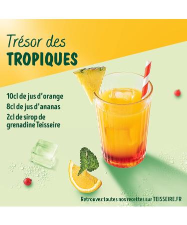 Teisseire Grenadine Syrup (Red Fruits) for Refreshing Drink Cocktails Recyclable Bottle 60cl - Buy Online on GoSupps.com