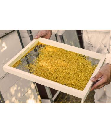  ImkerPur Nectarvit Organic Flower Pollen I Raw and Unprocessed I 1000g I min. 24% Protein - Buy Online on GoSupps.com
