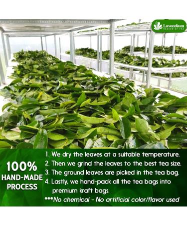 Lavendium Premium 40 Soursop Leaf Tea Bags 100% Natural and Pure from Soursop Graviola Leaves. Made with Eco-Conscious Tea Bags Soursop Leaf Herbal Tea. No Sugar No Caffeine No Gluten Vegan. (40 Bags) - Buy Online on GoSupps.com