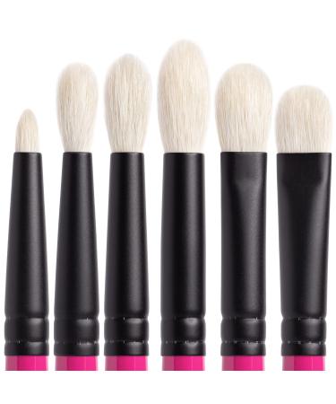 Whats Up Beauty - 6 Goat Eyeshadow Brushes Hand Made in Japan (R101 R102 R103 R104 R105 R106) Premium Makeup Tools 6 Pack Eyeshadow Brushes
