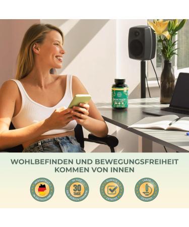 Primal Harvest Curcuma Proactiv - 60 Organic Turmeric Capsules with 95% Curcuminoid & BioPerine for Enhanced Absorption - Laboratory Tested Curcuma Extract - Buy Online on GoSupps.com