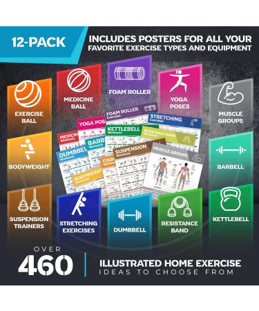 12-PACK Laminated Workout Poster Set for Home Gym - Exercise Charts for Dumbbell, Yoga Poses, Resistance Band, Kettlebell & Stretching - Fitness Gym Posters - Buy Online on GoSupps.com