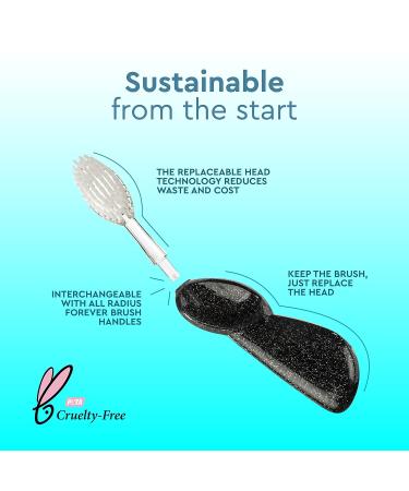 RADIUS Big Brush BPA Free Toothbrush - ADA Accepted Left Hand Assorted - Boost Gum Health - Pack of 6 - Buy Online on GoSupps.com