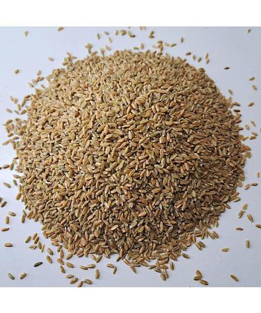 Buy Fresh Mills Green Spelt 5kg | Premium Whole Grain Green Spelt from R tze Mill - Organic & High Quality - Buy Online on GoSupps.com