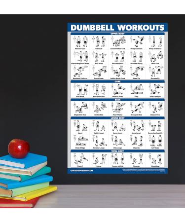 Quickfit Dumbbell Training & Body Weight Exercise Poster - Laminated 2 Diagrams 45.7 x 68.6 cm - Ideal Fitness Routine Guide for Home Workouts - Buy Online on GoSupps.com