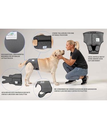 Sailing Trousers for Dogs 2.0 - High-Quality Neoprene Dog Diapers for Males (XS-L Gray) | Optimal Air Exchange & No Threading - Buy Online on GoSupps.com