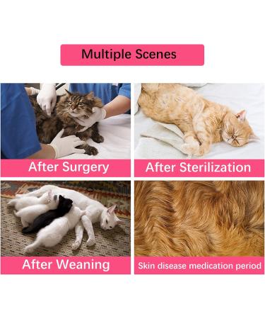 WDEC Katzenbody | After Op Anti-Trolling Cat Clothing for Skin Disease Recovery | E-Neck Band Alternative for Cats & Dogs - Size M Blue - Buy Online on GoSupps.com