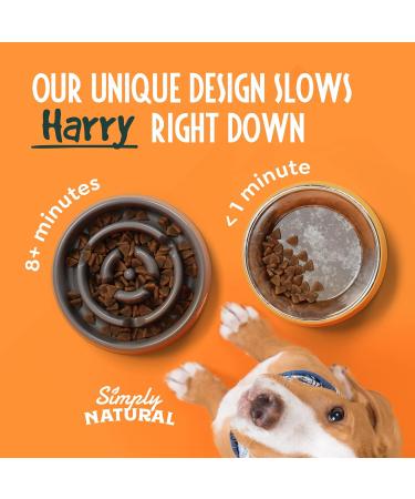 Slow Feeder Dog Bowl Large 21cm Dog Food Bowl Anti-Gulp Anti-Overeating Dog and Cat Slow Feeder Bowl Dog Bowls to Slow Down Eating Puppy Slow Feeding Dog Bowl Maze Bowl - Buy Online on GoSupps.com