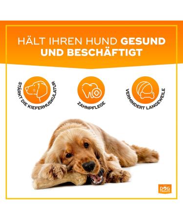 Natural Dog Treats - Coffee Wood Chewing Bones for Dogs & Puppies | Caustab & Kachtiele Toys (2 Pack) - Buy Online on GoSupps.com