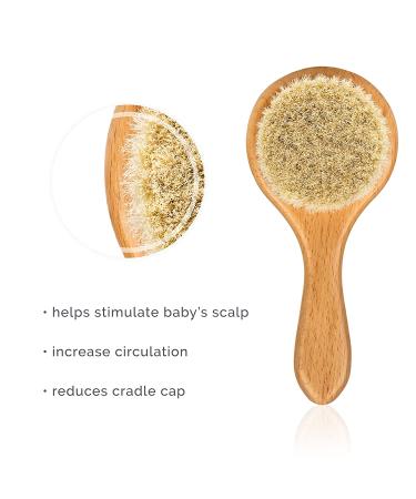 Natemia Wooden Baby Hair Brush Set for Newborns & Toddlers - Natural Soft Bristles - Ideal for Cradle Cap - Perfect Baby Registry Gift Set of 3 - Buy Online on GoSupps.com