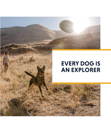 Luffwear Dog Dishes with Built-In Bags | All-Day Comfort for Small Breeds | Red Sumac | Ideal for Short Trips & Everyday Use - Buy Online on GoSupps.com