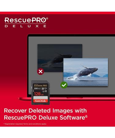 SanDisk 128GB Extreme PRO SDXC Memory Card - C10, U3, V30, 4K UHD | SDSDXXD-128G-GN4IN - Buy Online on GoSupps.com